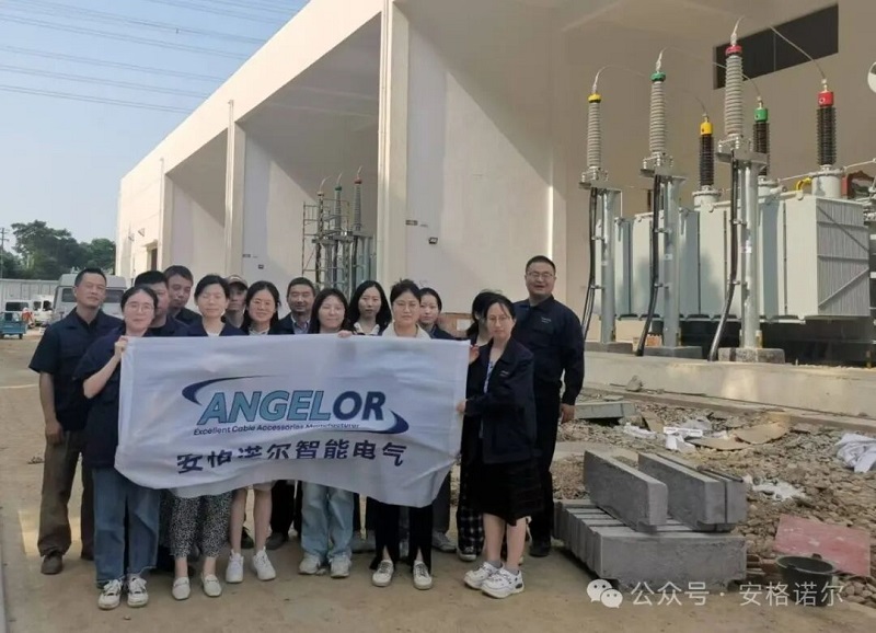 安格诺尔组织开展常州比亚迪二期变电站110kV电缆终端安装现场学习观摩活动
