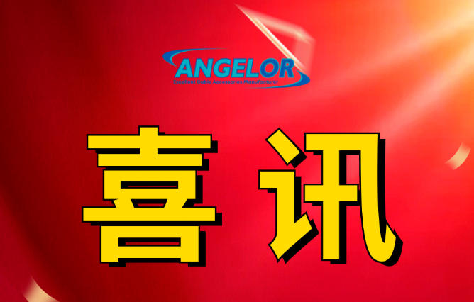 祝贺黄承业总经理入选“龙城英才”计划